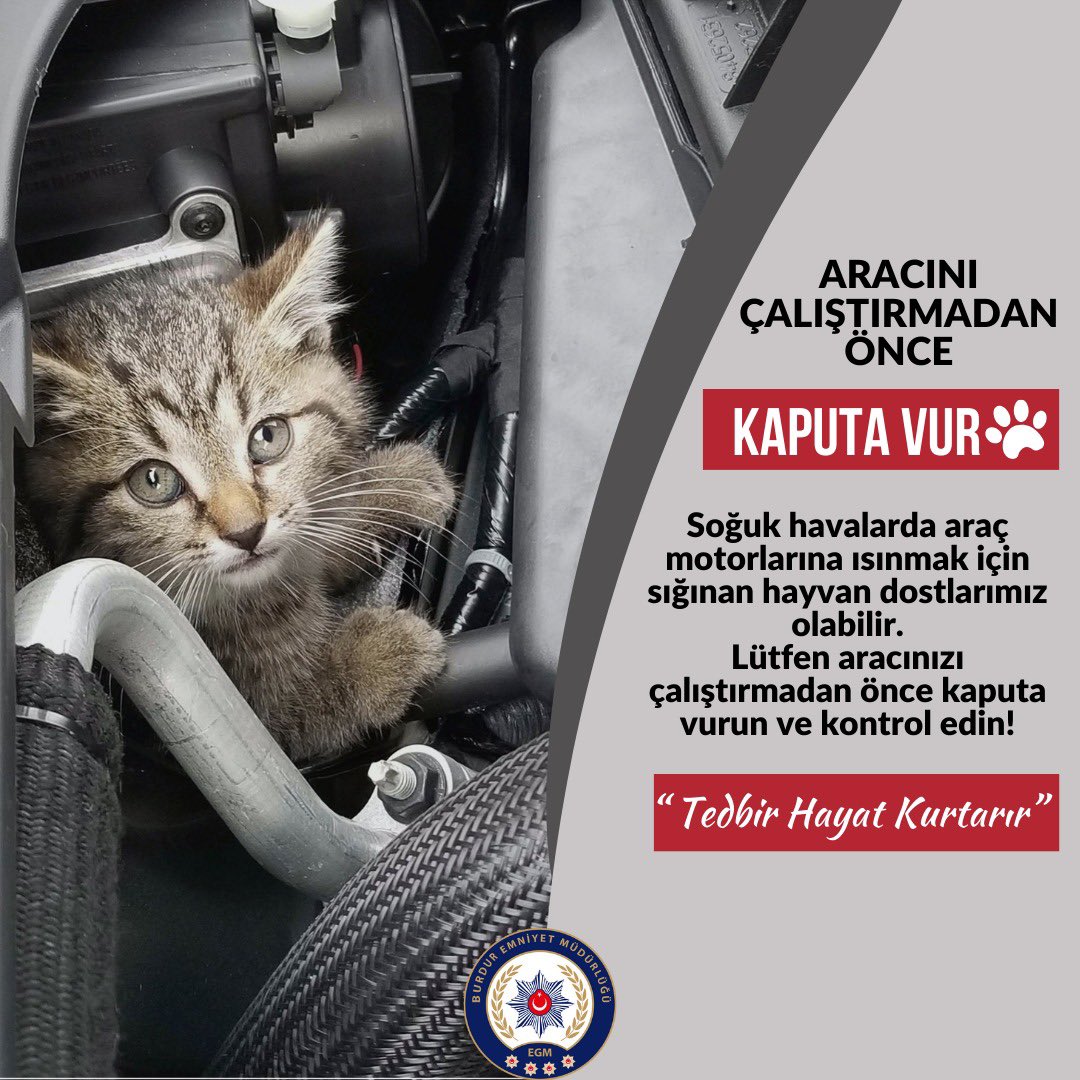 Aracını Çalıştırmadan Önce Kaputa Vur !